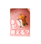 かわいい虫たちがつぶやきます。（個別スタンプ：7）