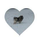 Keeshond（個別スタンプ：1）