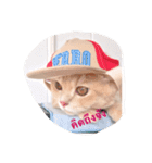 tamatamakun（個別スタンプ：3）