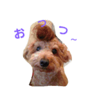 うちのかわいい娘ちゃん2（個別スタンプ：8）