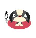 さめけん（個別スタンプ：13）