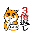 柴犬元気 No.4(バレンタインver.)（個別スタンプ：13）