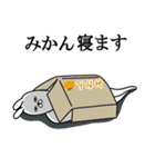 みかんが使う面白名前スタンプ（個別スタンプ：29）