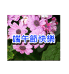 Flower images _8（個別スタンプ：10）
