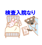 うさばあ病院へ行く（個別スタンプ：6）