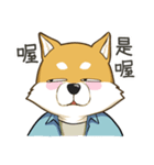 shibainukun（個別スタンプ：5）