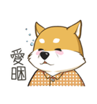 shibainukun（個別スタンプ：13）