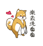 shibainukun（個別スタンプ：21）