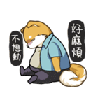 shibainukun（個別スタンプ：24）