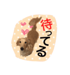 愛犬シンバ（個別スタンプ：14）