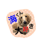 愛犬シンバ（個別スタンプ：24）