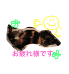 まろまゆマロン（個別スタンプ：7）