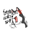 Husky funny（個別スタンプ：2）