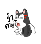 Husky funny（個別スタンプ：4）