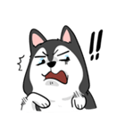 Husky funny（個別スタンプ：16）