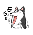 Husky funny（個別スタンプ：17）