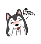 Husky funny（個別スタンプ：22）