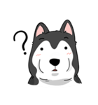 Husky funny（個別スタンプ：24）