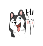 Husky funny（個別スタンプ：25）