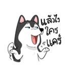 Husky funny（個別スタンプ：27）