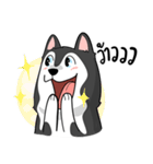 Husky funny（個別スタンプ：28）