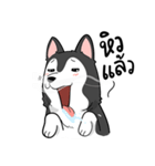 Husky funny（個別スタンプ：29）