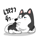 Husky funny（個別スタンプ：33）