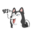 Husky funny（個別スタンプ：34）