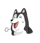 Husky funny（個別スタンプ：40）