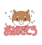 柴犬のシバさん3（個別スタンプ：1）