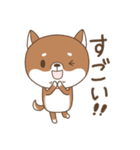 柴犬のシバさん3（個別スタンプ：9）