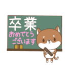 柴犬のシバさん3（個別スタンプ：25）