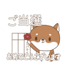 柴犬のシバさん3（個別スタンプ：30）