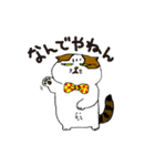 町田尚子の猫スタンプ 白木ピッピ 大阪弁（個別スタンプ：1）
