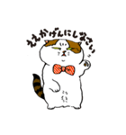 町田尚子の猫スタンプ 白木ピッピ 大阪弁（個別スタンプ：2）
