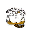 町田尚子の猫スタンプ 白木ピッピ 大阪弁（個別スタンプ：4）