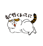町田尚子の猫スタンプ 白木ピッピ 大阪弁（個別スタンプ：5）