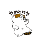 町田尚子の猫スタンプ 白木ピッピ 大阪弁（個別スタンプ：13）