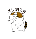 町田尚子の猫スタンプ 白木ピッピ 大阪弁（個別スタンプ：14）