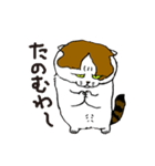 町田尚子の猫スタンプ 白木ピッピ 大阪弁（個別スタンプ：15）