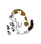 町田尚子の猫スタンプ 白木ピッピ 大阪弁（個別スタンプ：17）