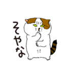 町田尚子の猫スタンプ 白木ピッピ 大阪弁（個別スタンプ：19）