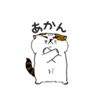 町田尚子の猫スタンプ 白木ピッピ 大阪弁（個別スタンプ：20）