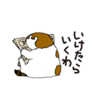 町田尚子の猫スタンプ 白木ピッピ 大阪弁（個別スタンプ：29）