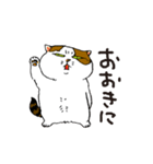 町田尚子の猫スタンプ 白木ピッピ 大阪弁（個別スタンプ：36）