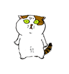 町田尚子の猫スタンプ 白木ピッピ 大阪弁（個別スタンプ：40）