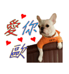 Ha Ji LOVE DOG（個別スタンプ：7）