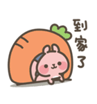 Squirrel Bunny's sweet diary（個別スタンプ：24）