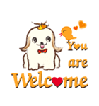 Shih Tzu Dog- FiFi: Happy Days（個別スタンプ：6）