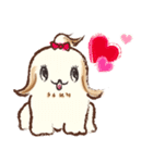 Shih Tzu Dog- FiFi: Happy Days（個別スタンプ：13）